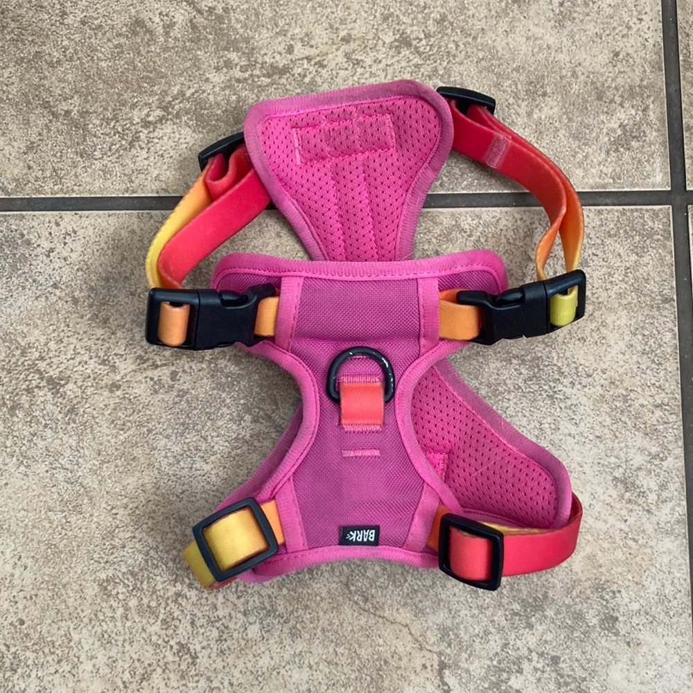 Dog harness and Leash, from the bark brand.